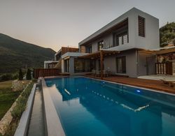 Luxury 2S villa Alpha with private pool Dış Mekan
