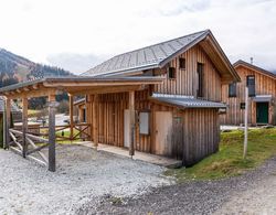 Luxury Chalet in Hohentauern near Ski Area Dış Mekan