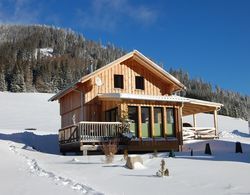 Luxury Chalet in Hohentauern near Ski Area Dış Mekan