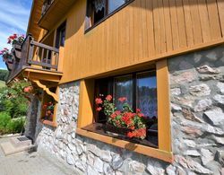 Luxury Chalet Near Ski Area in Benecko İç Mekan
