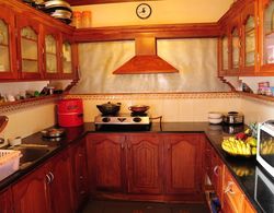 Luxury Inn Badyari Palace Houseboats Genel