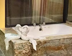 Luxury Inn Banyo Tipleri