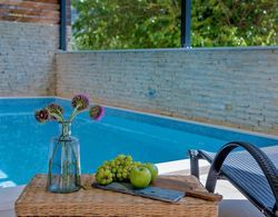 Luxury Villa Lelu With Heated Saltwater Pool, Parking, High Speed Internet, Bbq, el. car Charge T2 Dış Mekan
