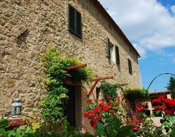 Luxury Privacy in the Heart of Tuscany Dış Mekan