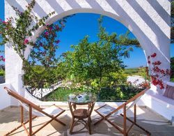 Luxury Villa Rosita pool Nature & Relax Oda Düzeni