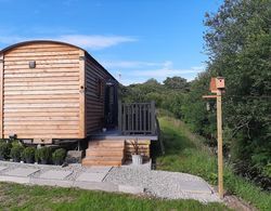 Luxury Shepherds Hut With Spa Hot Tub on Anglesey Dış Mekan