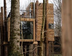 Luxury Tree Loft Tree Cabin for 4 People 4 Dış Mekan