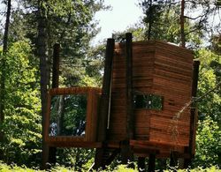 Luxury Tree Loft Tree Cabin for 4 People 4 Öne Çıkan Resim