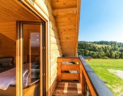 Luxury Villa with View of Tatra Mountains, Sauna, Hot Tub, Swimming Pool Oda Düzeni