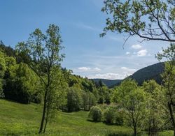 Luxus Ferienhaus Schwarzwald Dieboldsberg Oda Manzaraları