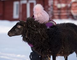 Maatilamatkailu Ilomäki Genel