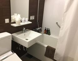 Maebashi Hotel LUKA Banyo Tipleri