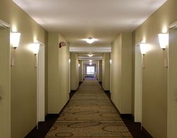 MainStay Suites Fitchburg - Madison İç Mekan