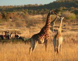 Makweti Safari Lodge Genel