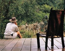 Makweti Safari Lodge Öne Çıkan Resim