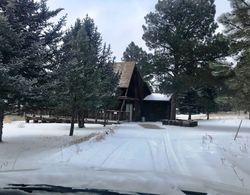 Mammoth Mountain Cabin Dış Mekan