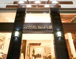 Hotel Maple Taiwan Boulevard Dış Mekan