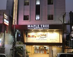 Maple Tree Hotels Öne Çıkan Resim