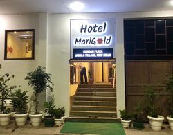 Hotel Marigold Dış Mekan