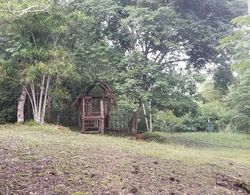 Mariposa Jungle Lodge Genel