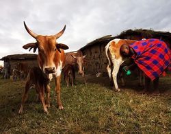 Masai Village Stay Tanzania Safari ve Oyun