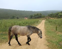 Masia Heredad La Boquilla Genel