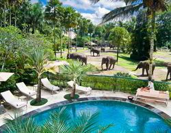 Mason Elephant Park and Lodge Gianyar Bali Havuz