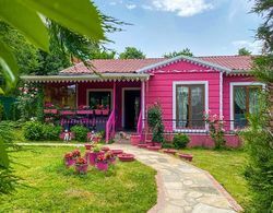 Masukiye Pink House Bungalow Genel