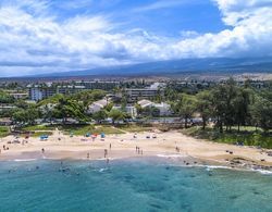 Maui Banyan Basic by AEI Öne Çıkan Resim