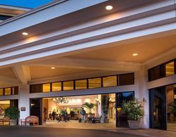 Maui Coast Hotel Genel