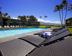 Maui Seaside Hotel Havuz
