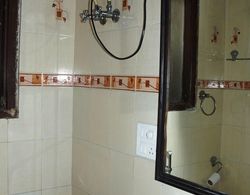 Maxfort Budget Hotel Gurgaon Banyo Tipleri
