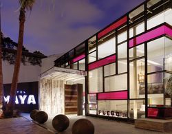Hotel Maya, A Doubletree by Hilton Genel