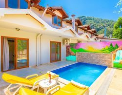 Villa Melek Paradise Private Pool A C Wifi Car Not Required Eco-friendly - 2235 Genel