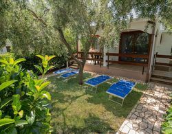 Melograno Holiday Home With Swimming Pool and Private Beach Öne Çıkan Resim
