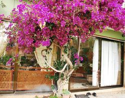 Merhaba Patara Boutique Hotel Genel