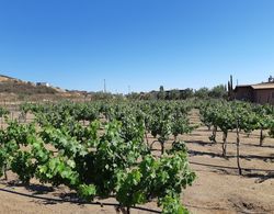 Hotel Meson del Vino Dış Mekan