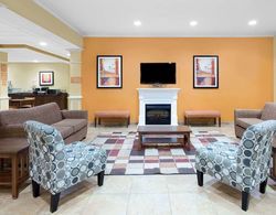 MICROTEL INN & SUITES BY WYNDHAM GREENVILLE/UNIVE Genel