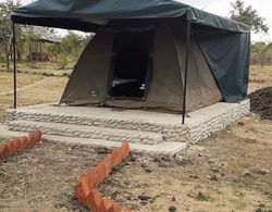 Mikumi Faru Luxury Tented Campsite Öne Çıkan Resim