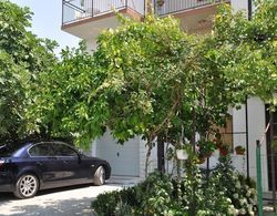 Milica - Parking and Garden - A1 Dış Mekan