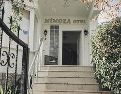 Mimoza Otel & Pansiyon Genel