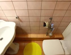 Mini-hotel Burdenko Fadeeva Banyo Tipleri