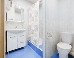 Mini-hotel Levoberezhny Banyo Özellikleri