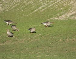 Mirador Ardea Mendixur Dış Mekan