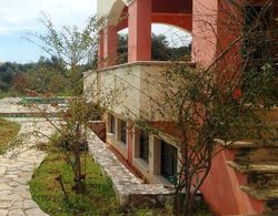 Villa Mitis - A Bohemian Private Pool Retreat Dış Mekan