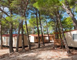 Mobile Homes Baško Polje Campground Dış Mekan