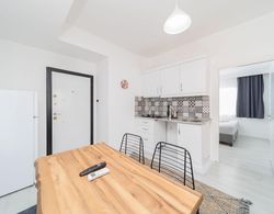 Modern and Comfortable Apartment in Muratpasa Oda