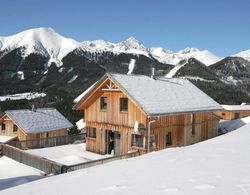 Modern Chalet in Hohentauern Near Ski Lift Dış Mekan