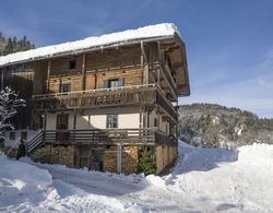 Modern Farmhouse in Hopfgarten im Brixental Near Ski Area Dış Mekan