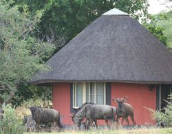 Mohlabetsi Safari Lodge Öne Çıkan Resim